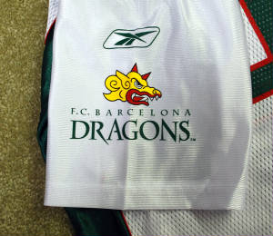 02dragonsawayjersey99sleevers.jpg