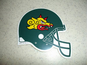 1991dragonshelmetstickerrs.jpg