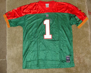 nfleDragonsJersey12ftrs.jpg