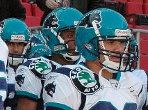 Hamburg Sea Devils (NFL Europe) - Wikiwand