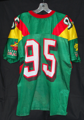 95dragonsfanjerseybkrs.jpg