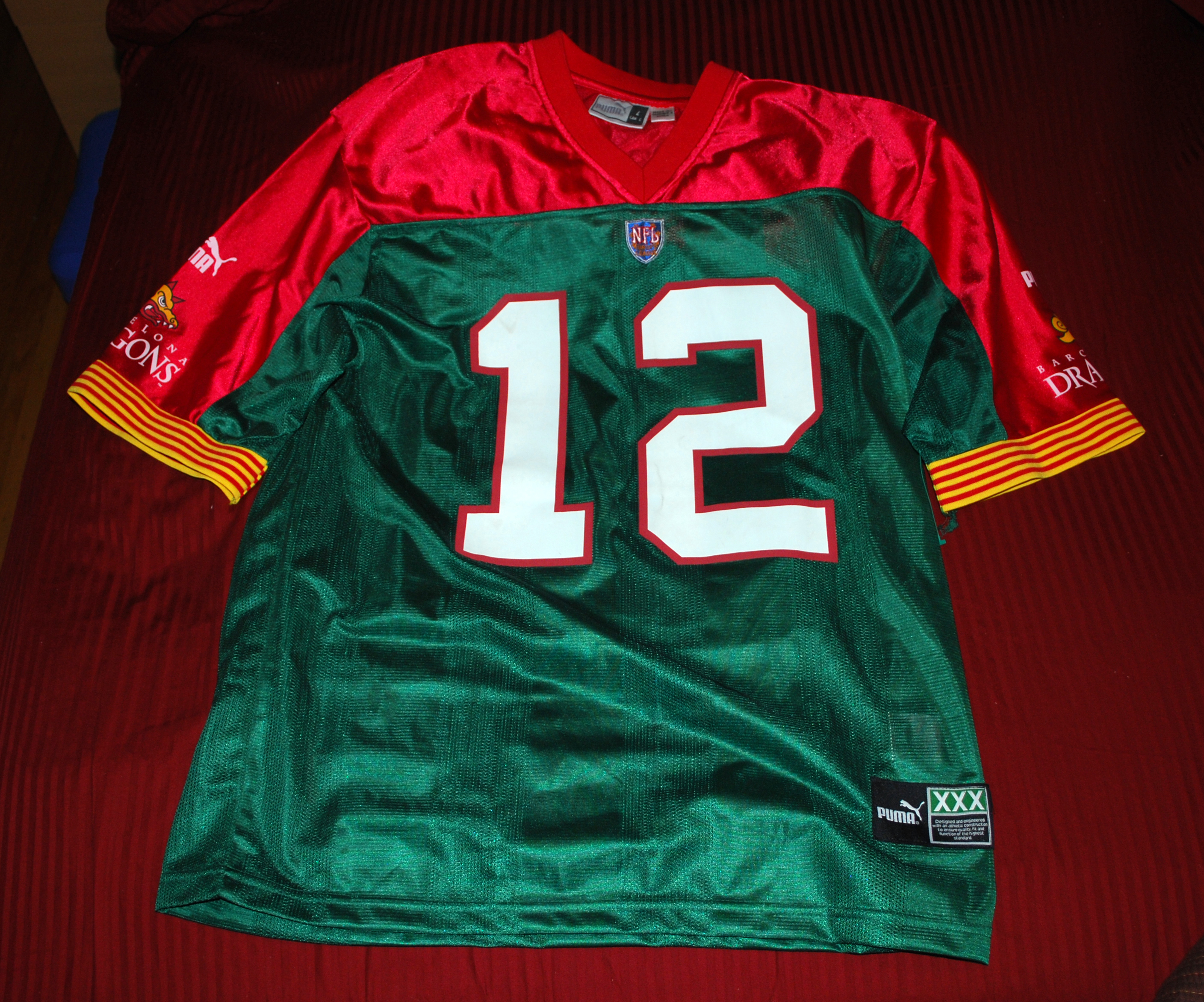 nfleDragonsJersey12rs.jpg