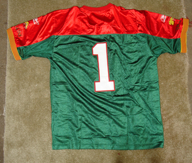 nfleDragonsJersey1rs.jpg